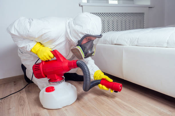 Best Mosquito Control Services  in Mission Viejo, CA