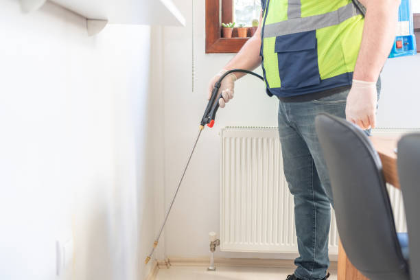 Best Emergency Pest Control  in Mission Viejo, CA