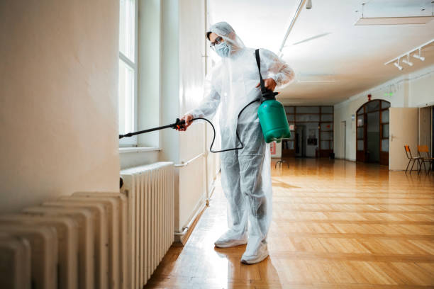 Best Termite Control Services  in Mission Viejo, CA