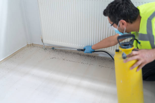 Best Cockroach Control Services  in Mission Viejo, CA